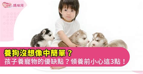 養小動物|適合養在房間的寵物有哪些？收養前該具備的觀念交給。